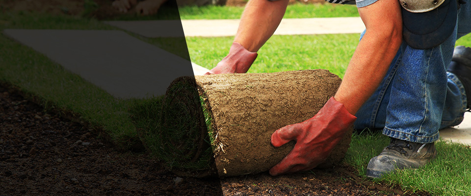 East Rochester Landscapers